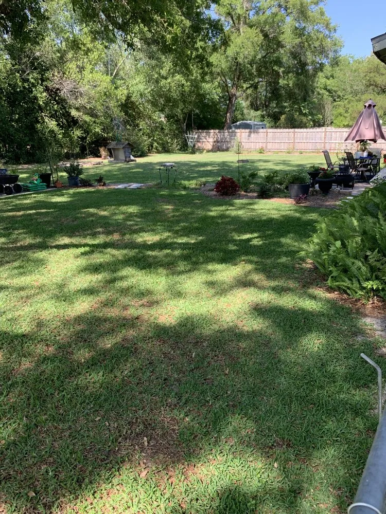 Professional yard maintenance experts serving Ocala, FL - Mike Honers Lawn Service