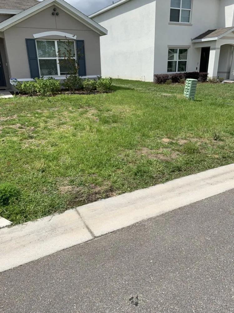 Custom lawn care service in Ocala, FL - Mike Honers Lawn Service