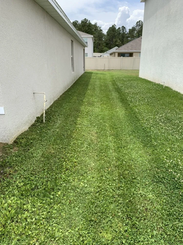 Expert landscaping services near you in Ocala, FL by Mike Honers Lawn Service