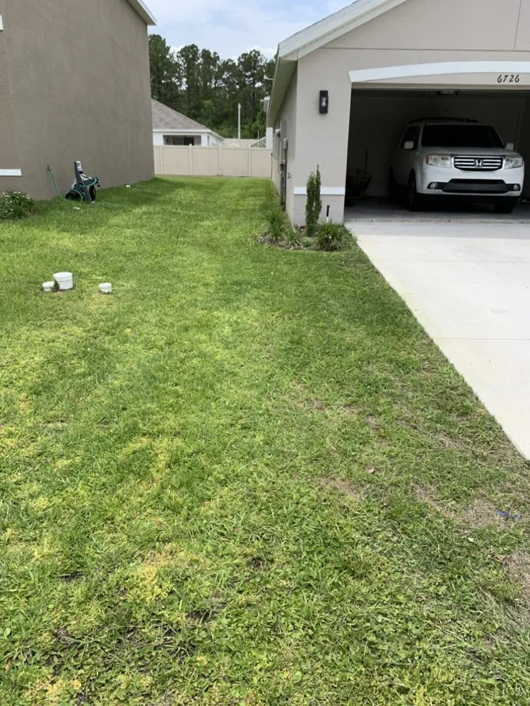 Reliable outdoor landscaping for year-round maintenance across Ocala, FL - Mike Honers Lawn Service