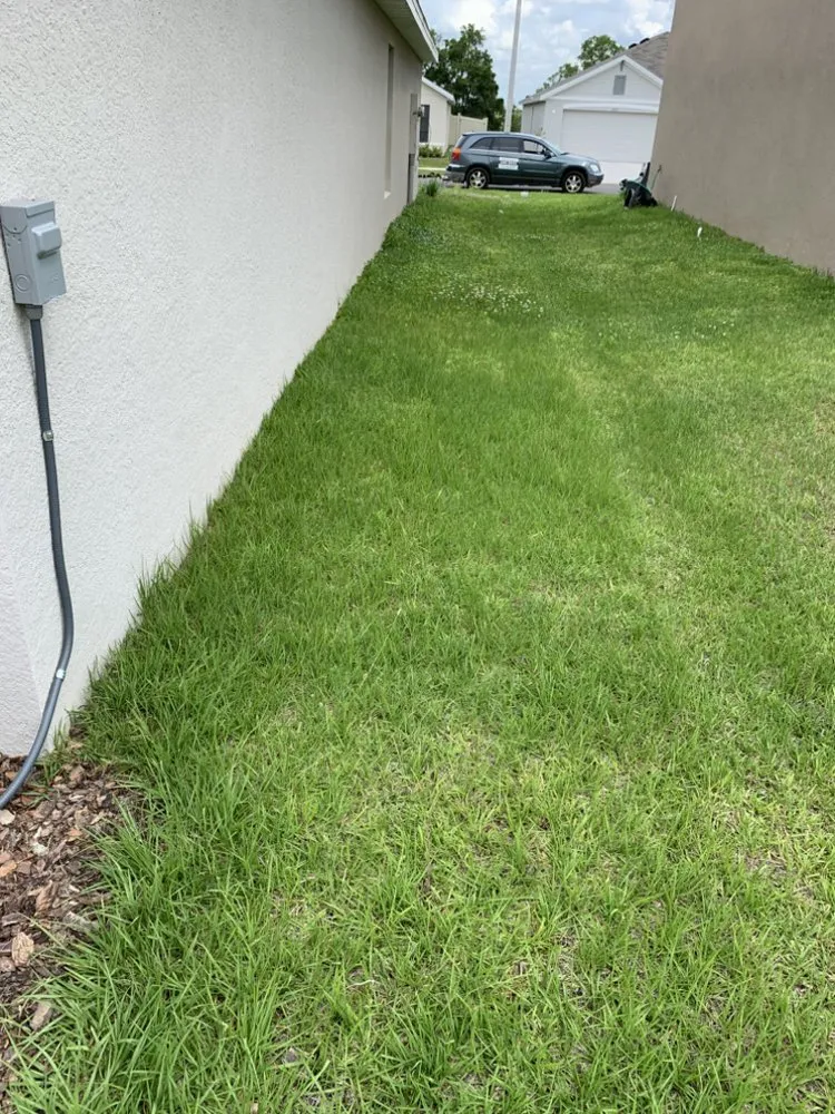Custom yard cleanup service for homes in Ocala, FL by Mike Honers Lawn Service