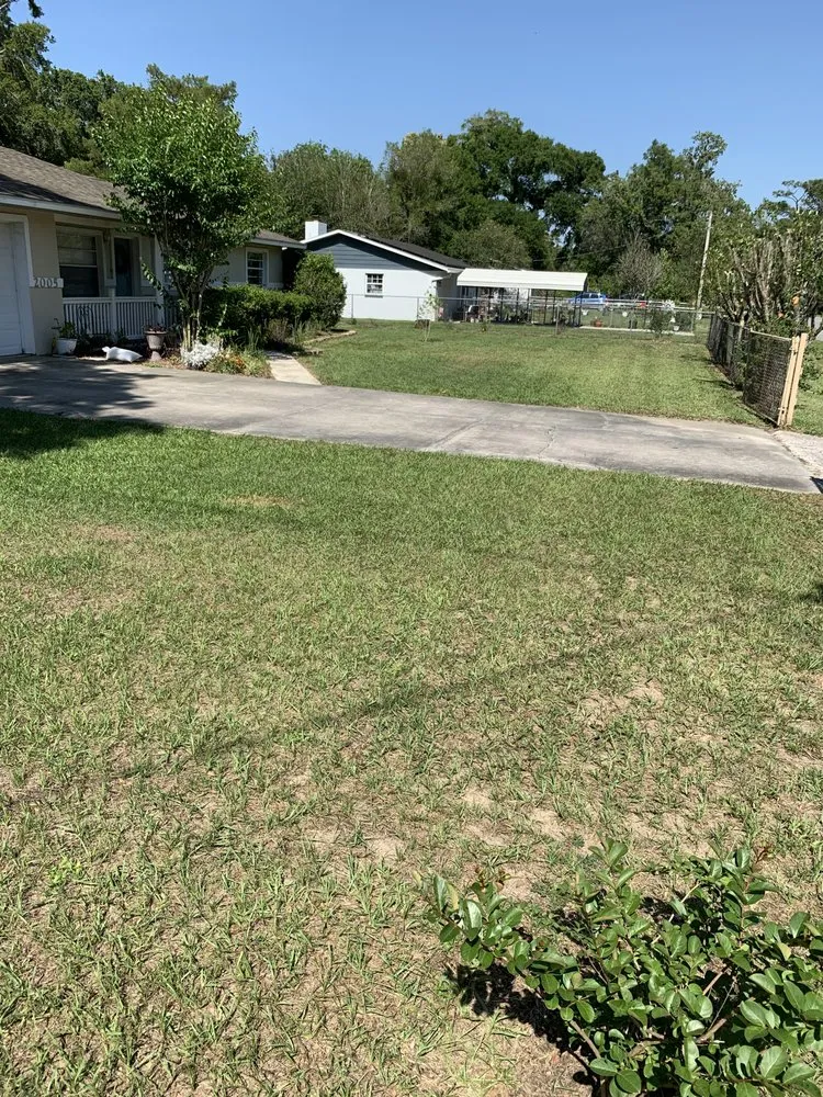 Trusted yard maintenance for year-round maintenance in Ocala, FL by Mike Honers Lawn Service