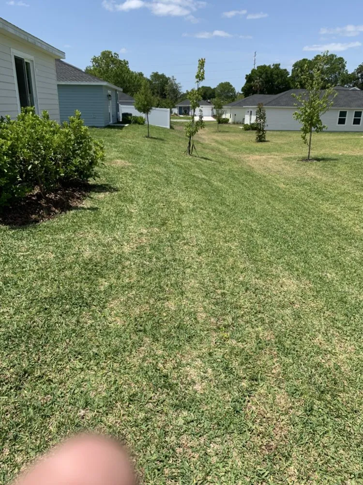 Reliable landscaping services in Ocala, FL - Mike Honers Lawn Service