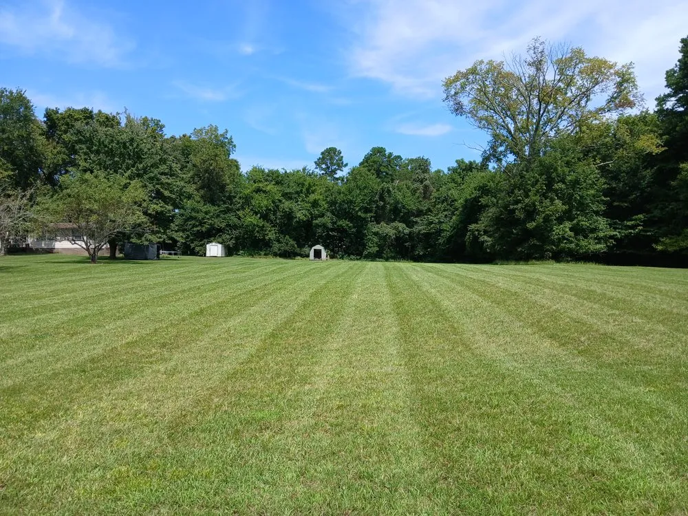 Trusted outdoor landscaping for year-round maintenance in Salisbury, NC by Mike Jones Lawncare