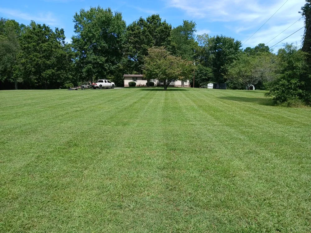 Professional lawn care service experts serving Salisbury, NC - Mike Jones Lawncare