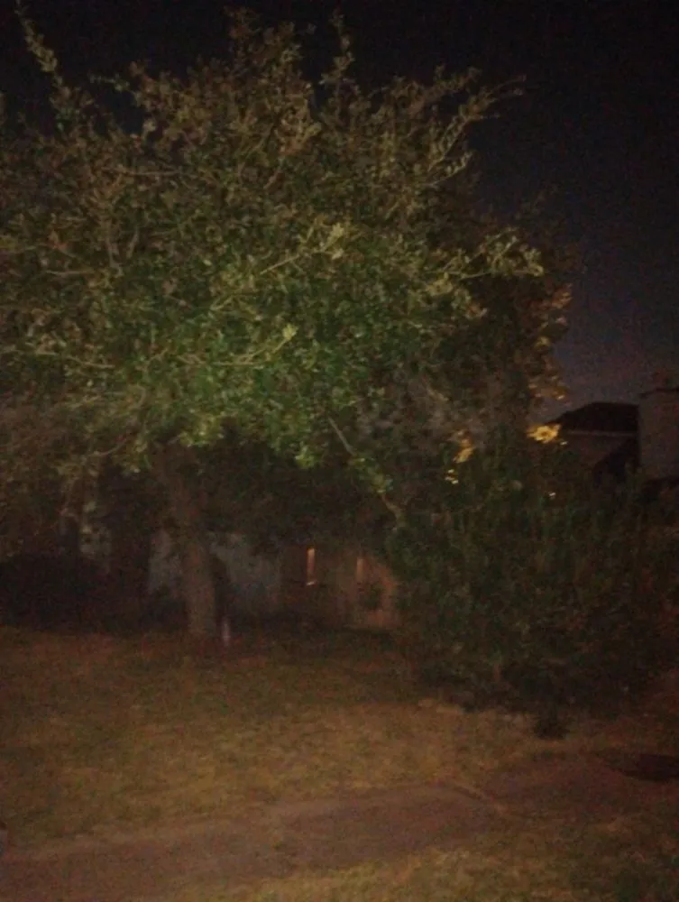 Expert landscape design in Spring, TX - Mike Lawn Service & Odd Jobs