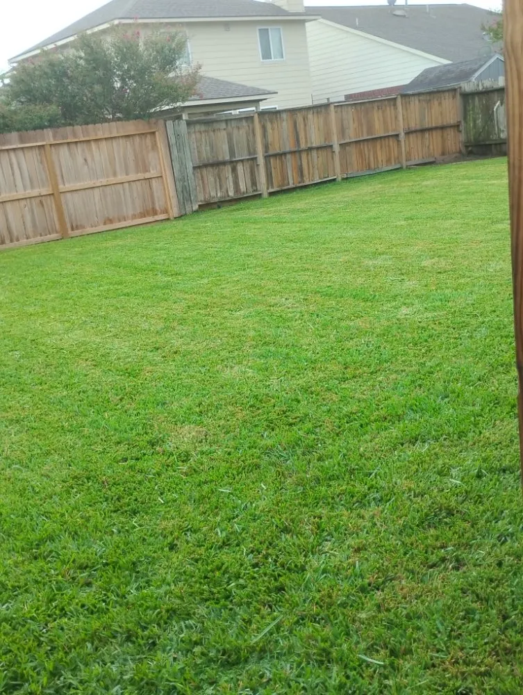 Affordable landscape design for year-round maintenance in Spring, TX by Mike Lawn Service & Odd Jobs