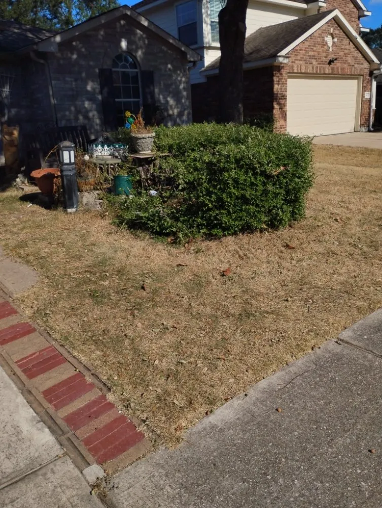 Expert garden landscaping in Spring, TX by Mike Lawn Service & Odd Jobs