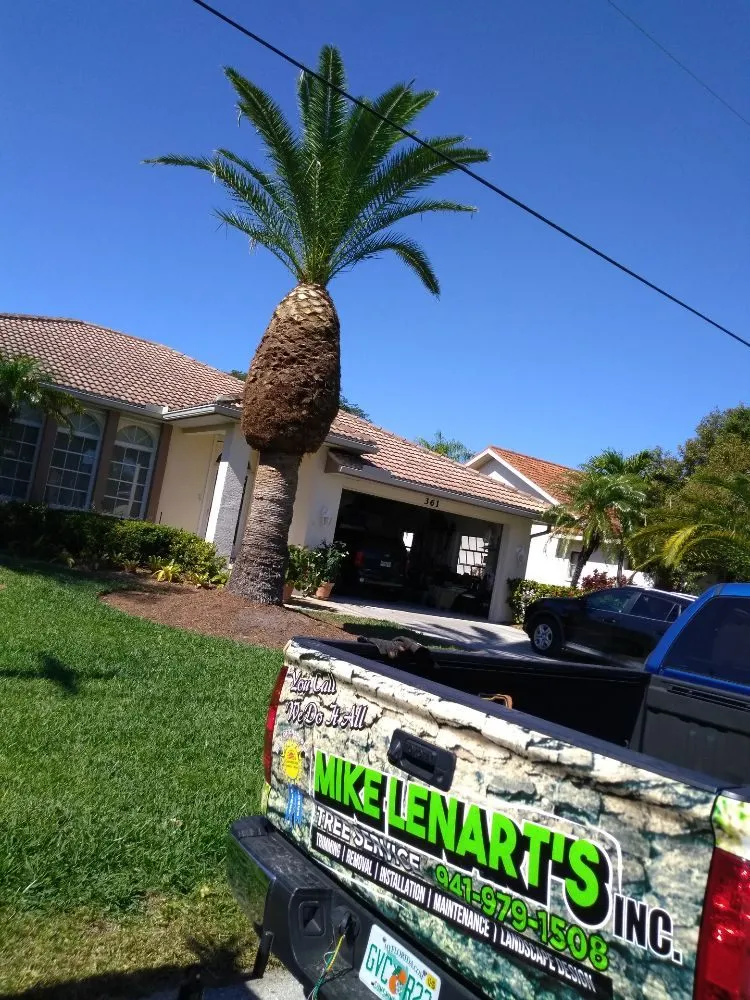 Trusted outdoor landscaping for year-round maintenance across Punta Gorda, FL - Mike Lenart's Tree Service