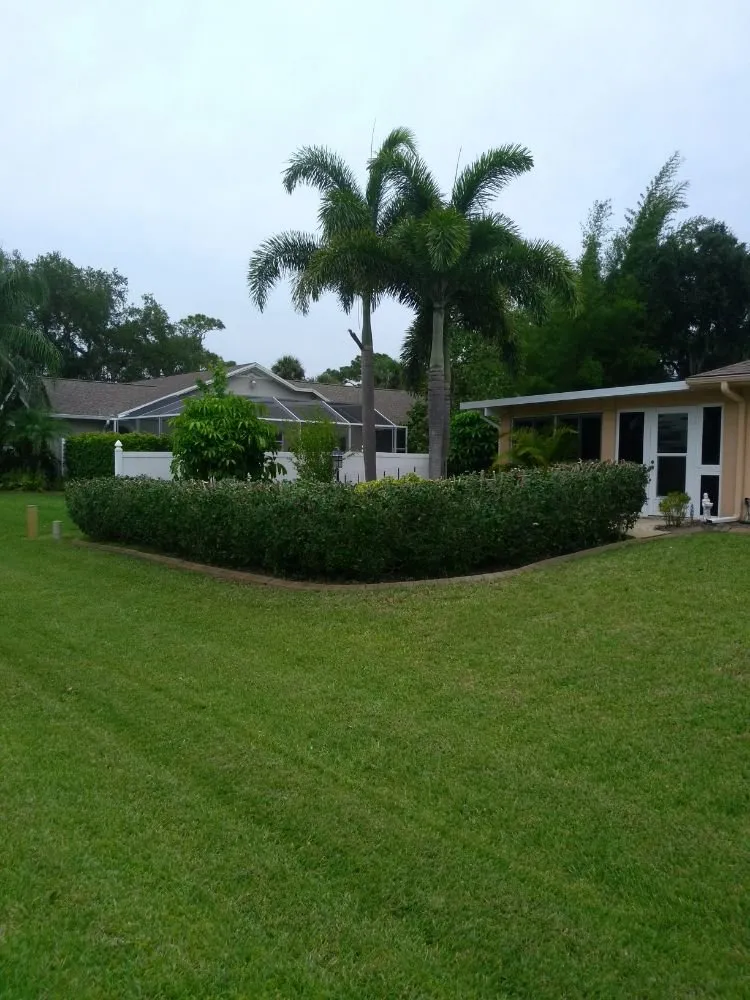 Professional yard cleanup service in Punta Gorda, FL by Mike Lenart's Tree Service