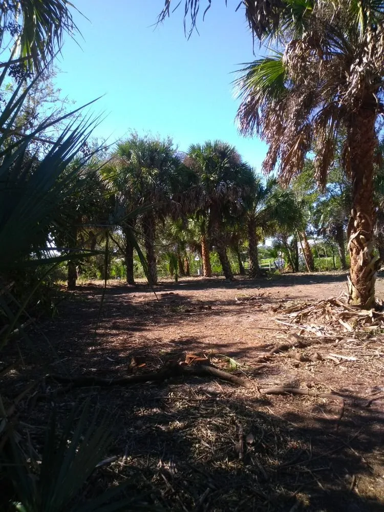 Custom landscaping services with custom design across Punta Gorda, FL - Mike Lenart's Tree Service