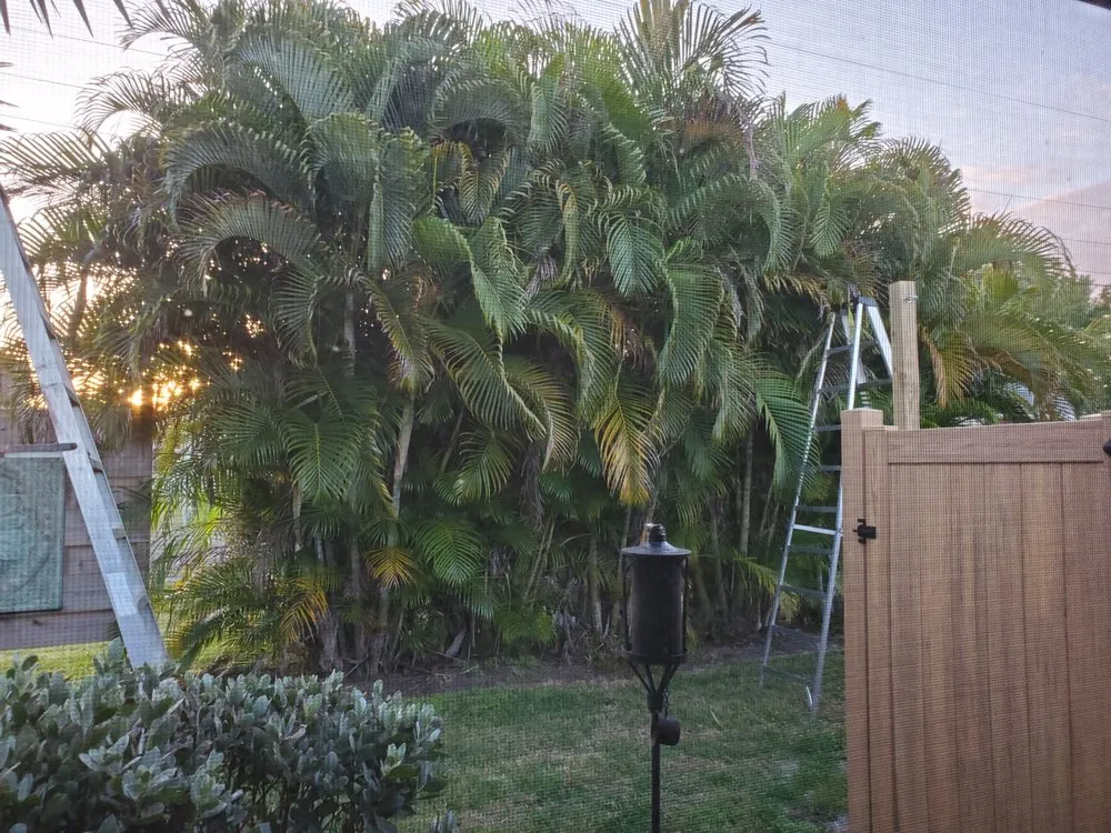 Custom outdoor landscaping in Punta Gorda, FL - Mike Lenart's Tree Service