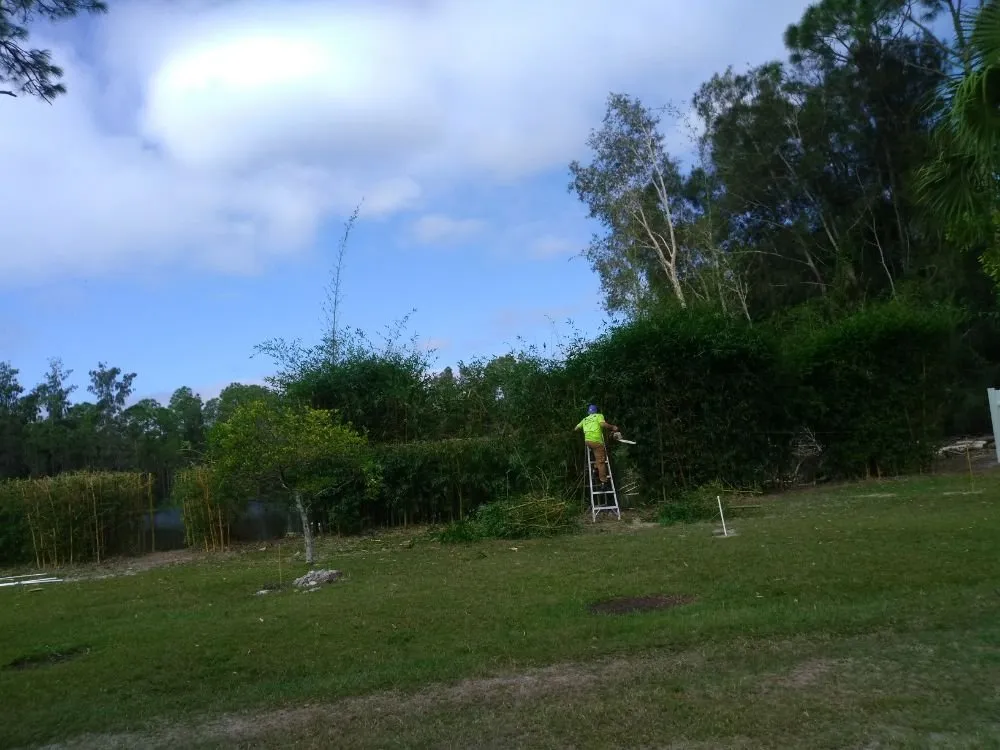Custom landscape design for beautiful yards across Punta Gorda, FL - Mike Lenart's Tree Service