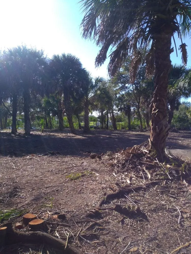 Local yard maintenance in Punta Gorda, FL - Mike Lenart's Tree Service