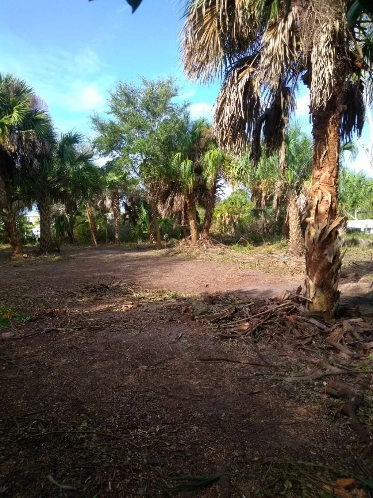 Professional residential landscaping in Punta Gorda, FL - Mike Lenart's Tree Service