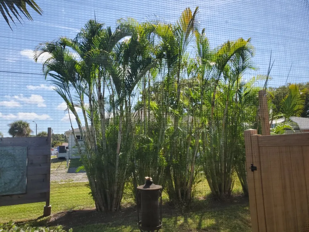 Expert outdoor landscaping for homes in Punta Gorda, FL by Mike Lenart's Tree Service