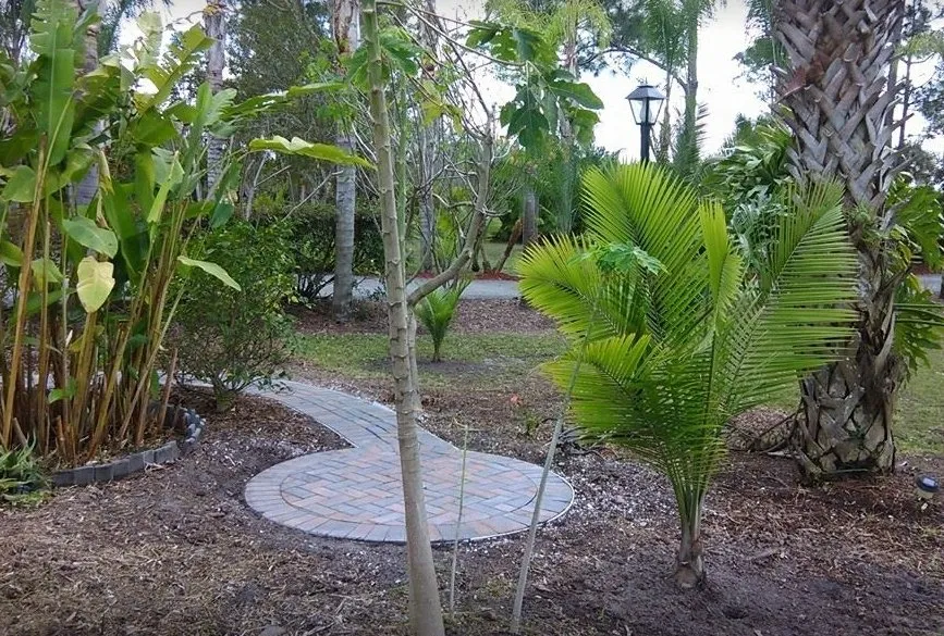 Top-rated landscaping services in Punta Gorda, FL - Mike Lenart's Tree Service