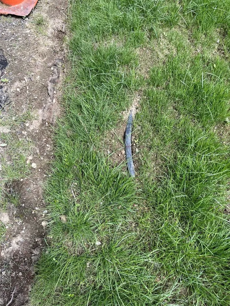 Local lawn mowing service for year-round maintenance across Millbury, MA - Mike Lynch Enterprises