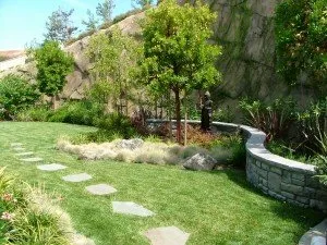 Top-rated lawn mowing service for year-round maintenance across Antioch, CA - Mike McCall Landscape