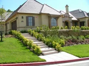 Expert landscape installation for year-round maintenance in Antioch, CA by Mike McCall Landscape