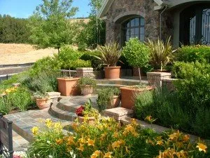 Top-rated residential landscaping in Antioch, CA by Mike McCall Landscape