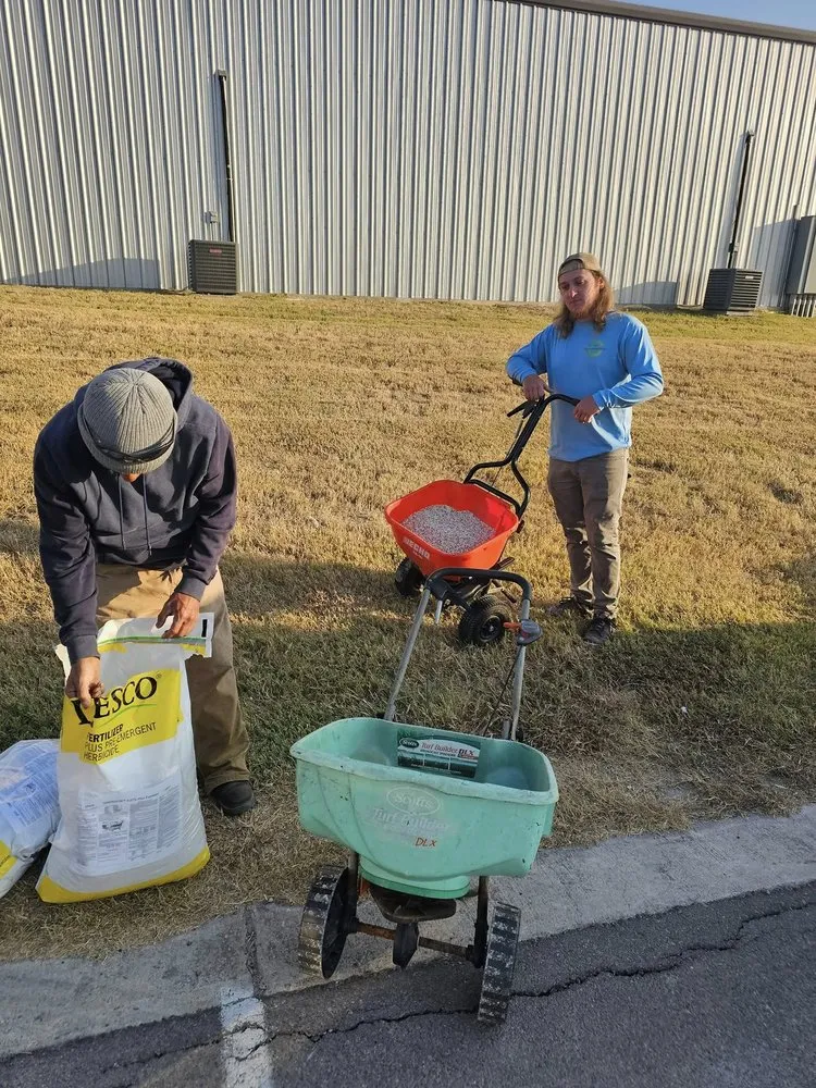 Top-rated landscape installation experts serving Buda, TX - Mike Mows Best