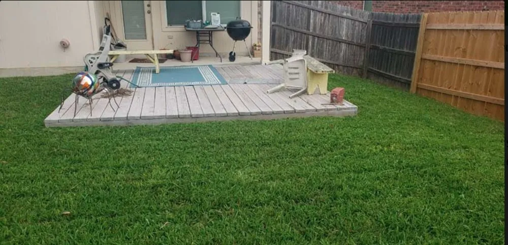 Expert lawn care service in Buda, TX - Mike Mows Best