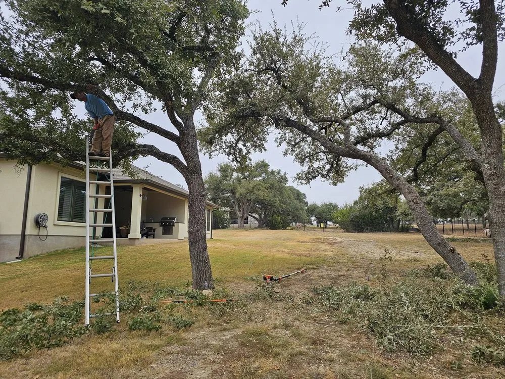 Affordable landscape design in Buda, TX by Mike Mows Best