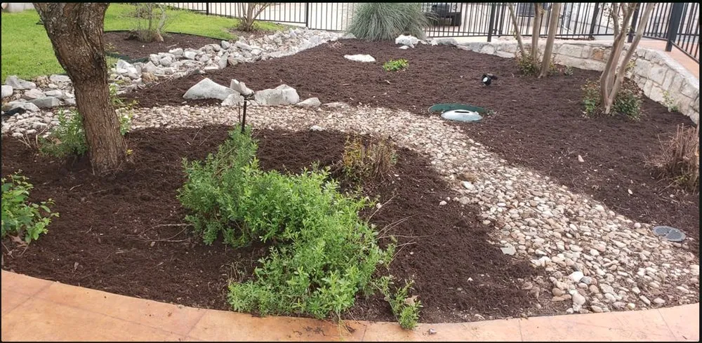 Expert garden landscaping experts serving Buda, TX - Mike Mows Best