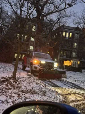 Mike N Cirino & Son Logo