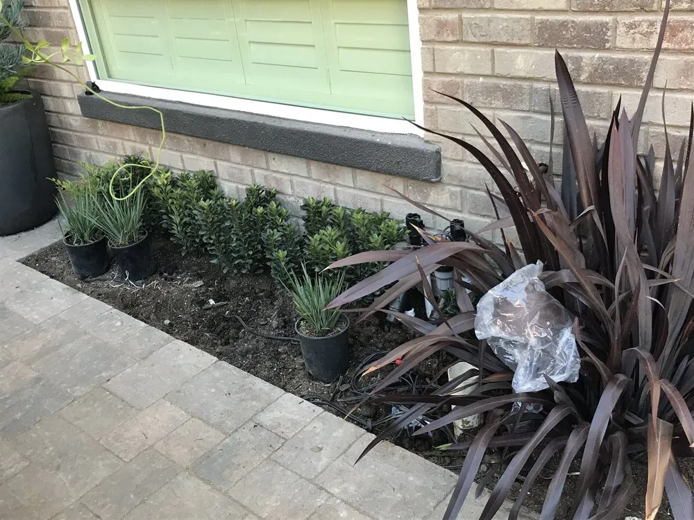 Trusted residential landscaping in Laguna Beach, CA by Mike Parker Landscape