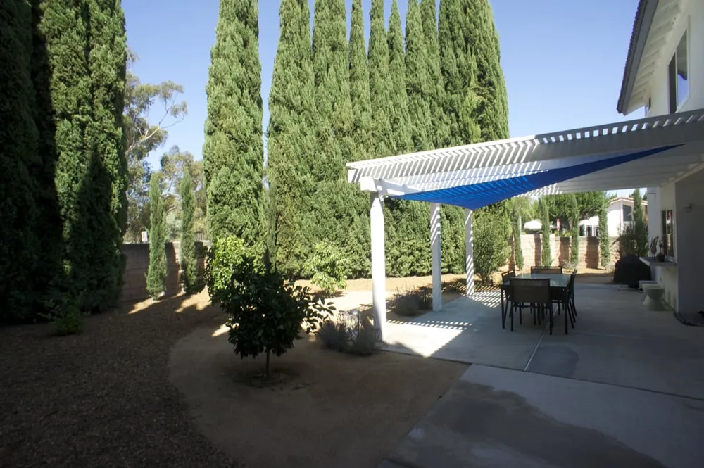 Expert yard cleanup service in Laguna Beach, CA by Mike Parker Landscape