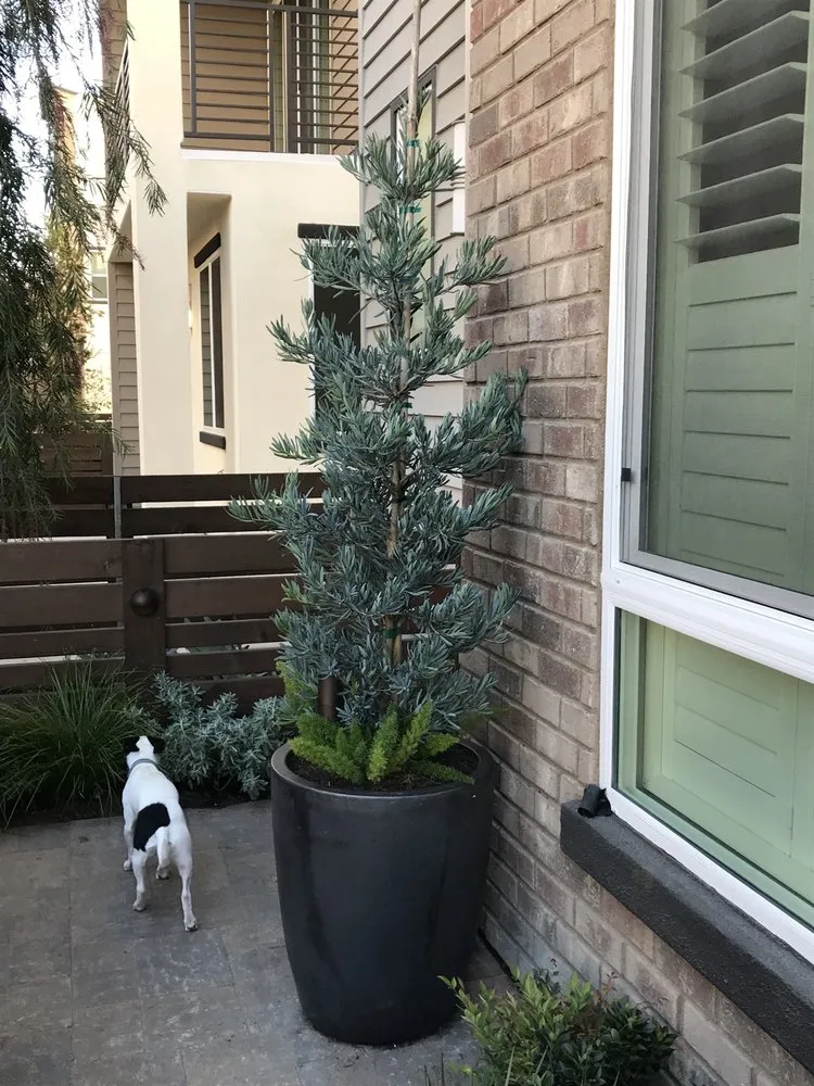 Custom lawn mowing service in Laguna Beach, CA - Mike Parker Landscape