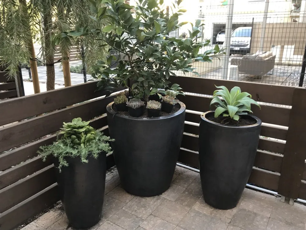 Custom yard cleanup service experts serving Laguna Beach, CA - Mike Parker Landscape