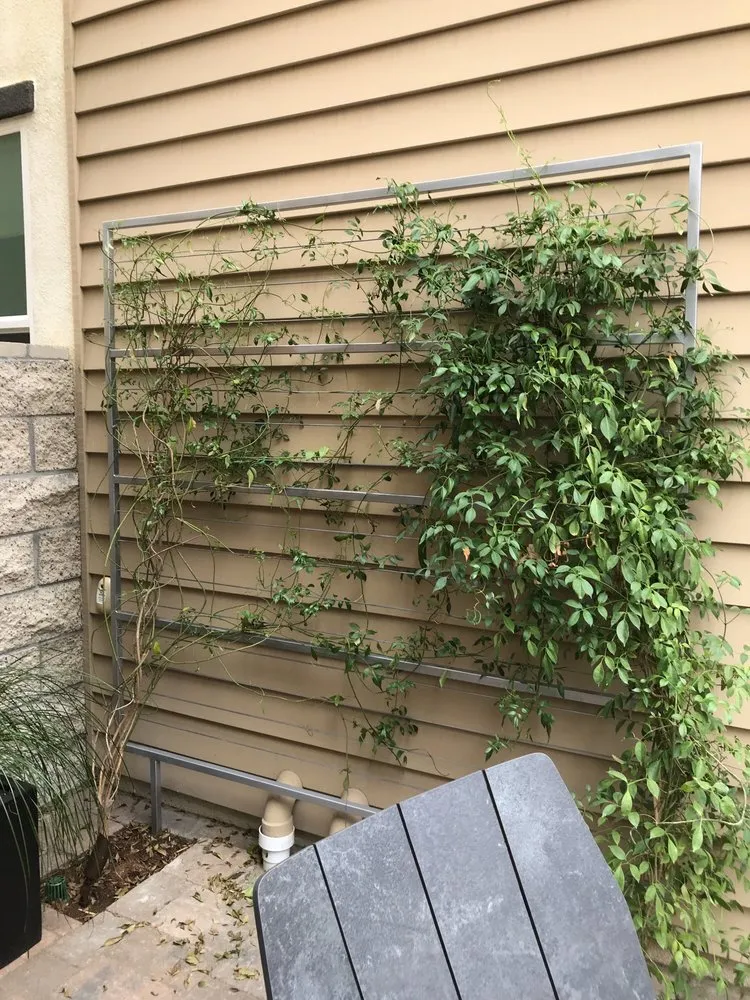 Affordable lawn care service for homes in Laguna Beach, CA by Mike Parker Landscape