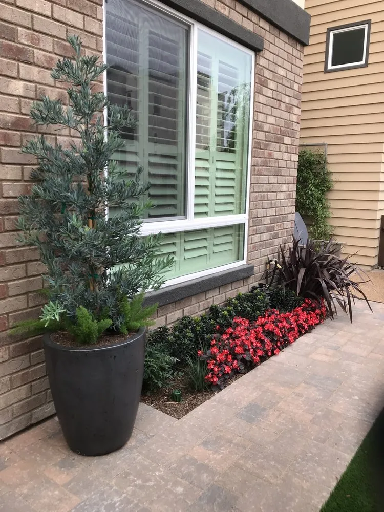 Professional yard maintenance in Laguna Beach, CA by Mike Parker Landscape