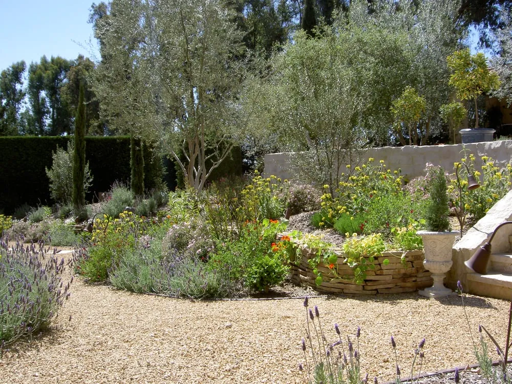 Affordable yard maintenance experts serving Laguna Beach, CA - Mike Parker Landscape