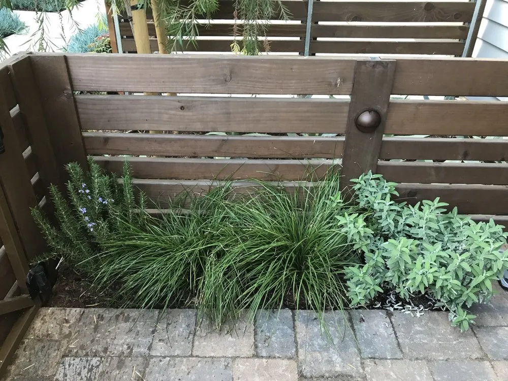 Reliable outdoor landscaping in Laguna Beach, CA by Mike Parker Landscape