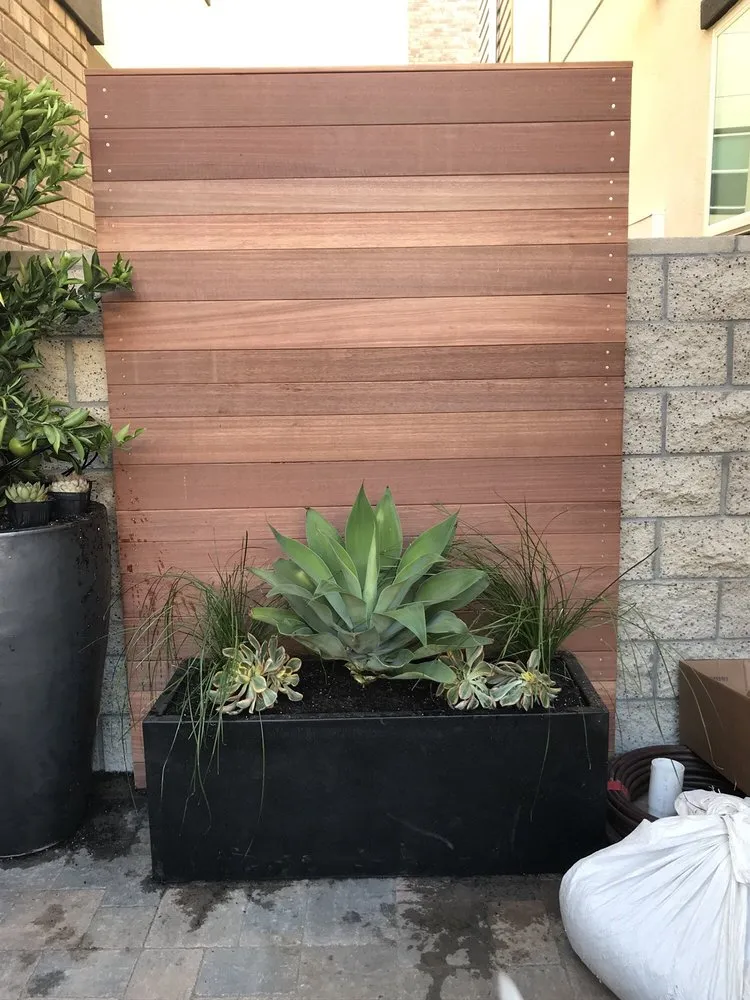 Professional outdoor landscaping in Laguna Beach, CA by Mike Parker Landscape