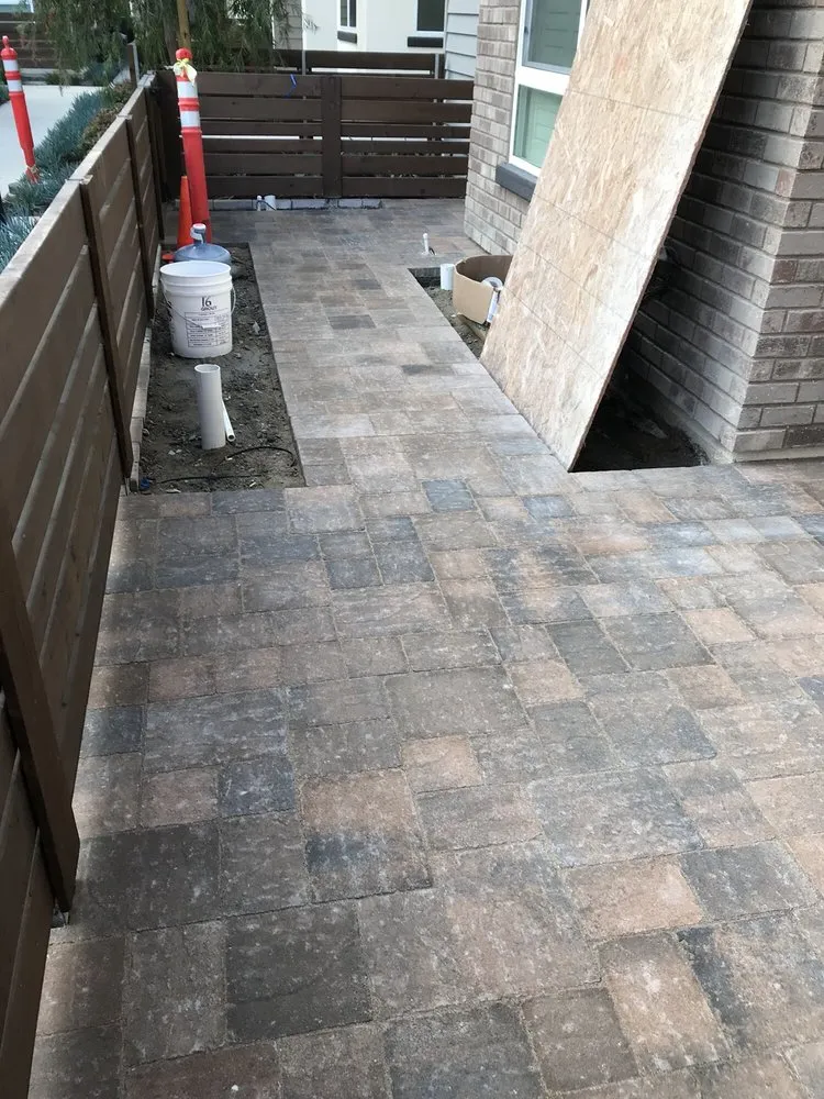 Professional yard cleanup service for homes in Laguna Beach, CA by Mike Parker Landscape