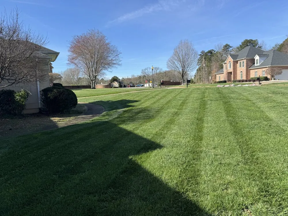 Expert lawn mowing service in Gastonia, NC - Mike P's Yard Services