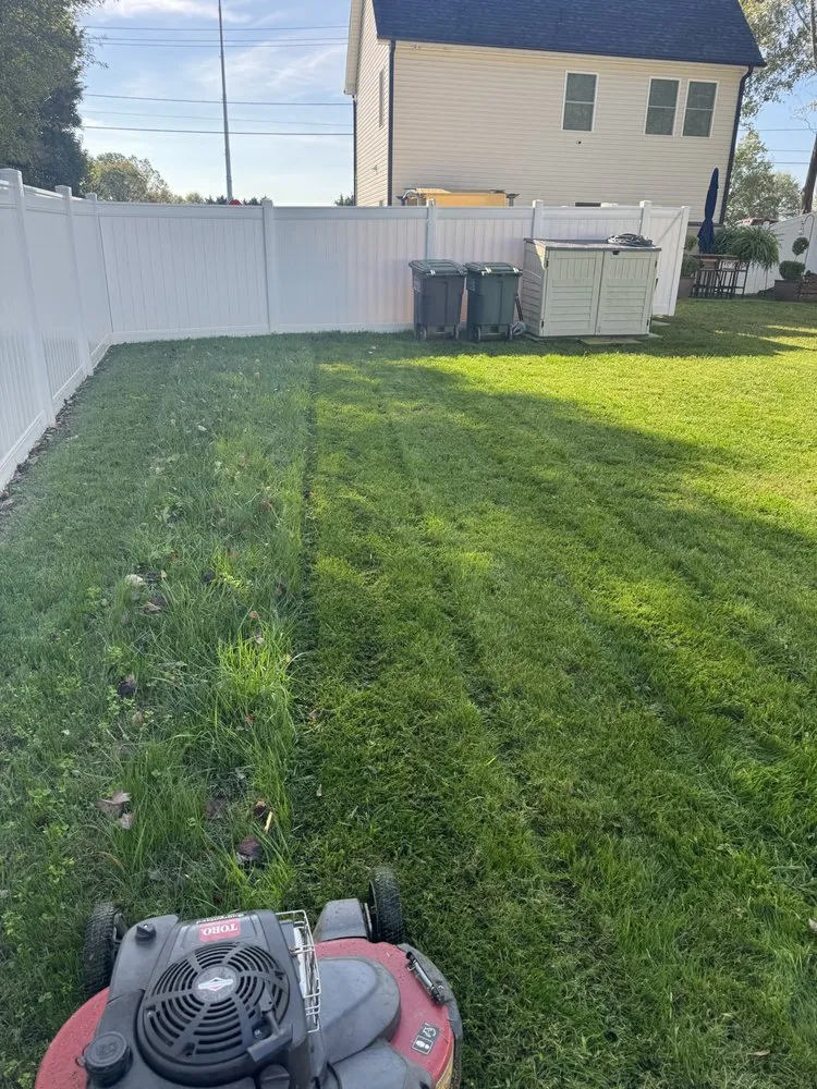 Professional landscape installation in Gastonia, NC - Mike P's Yard Services