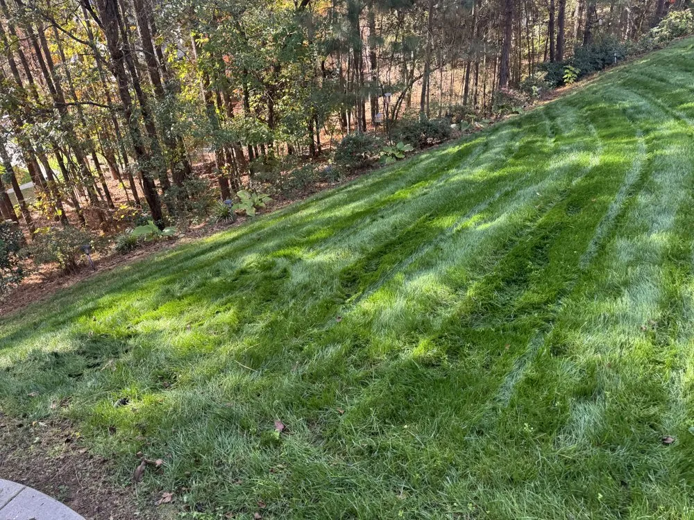 Local landscape design for beautiful yards in Gastonia, NC by Mike P's Yard Services