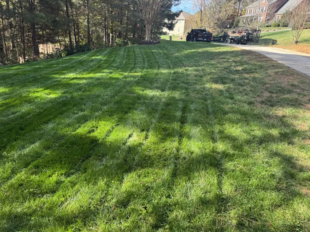 Reliable landscape design in Gastonia, NC - Mike P's Yard Services