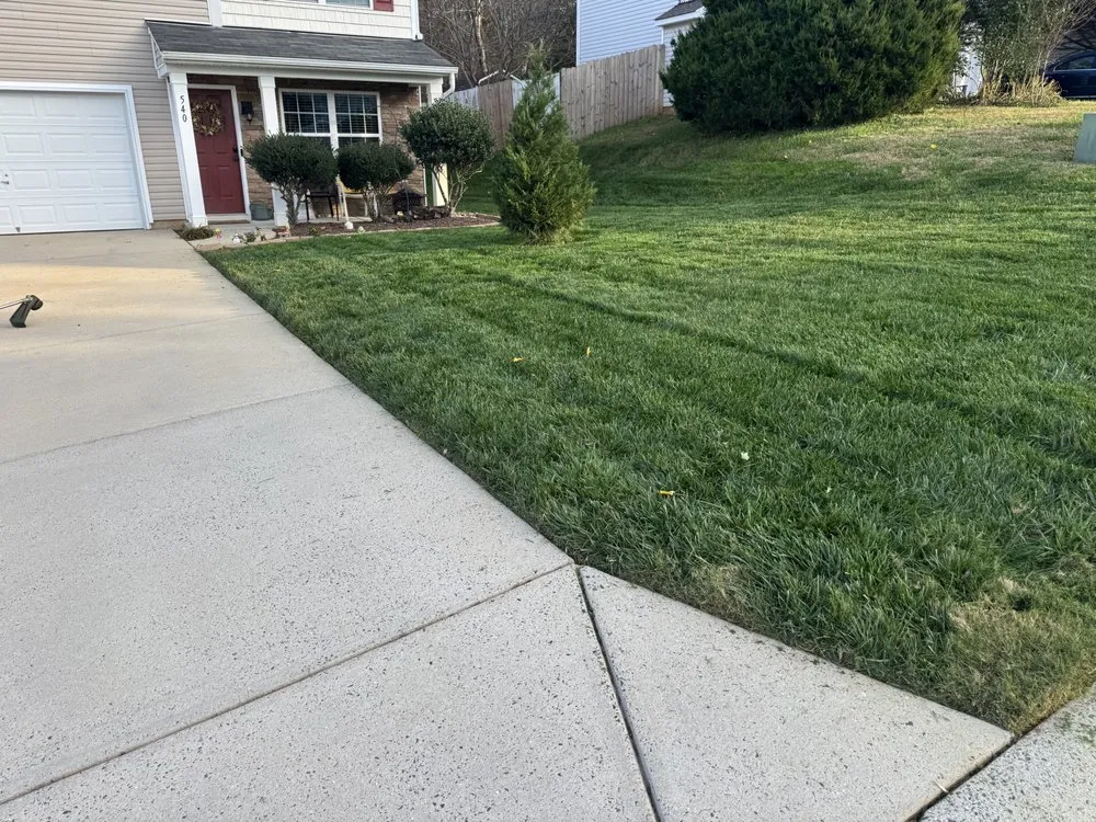 Professional outdoor landscaping for residential properties across Gastonia, NC - Mike P's Yard Services