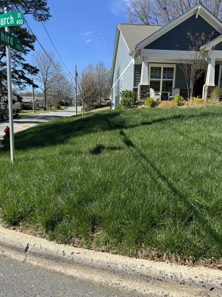 Local landscape design experts serving Gastonia, NC - Mike P's Yard Services