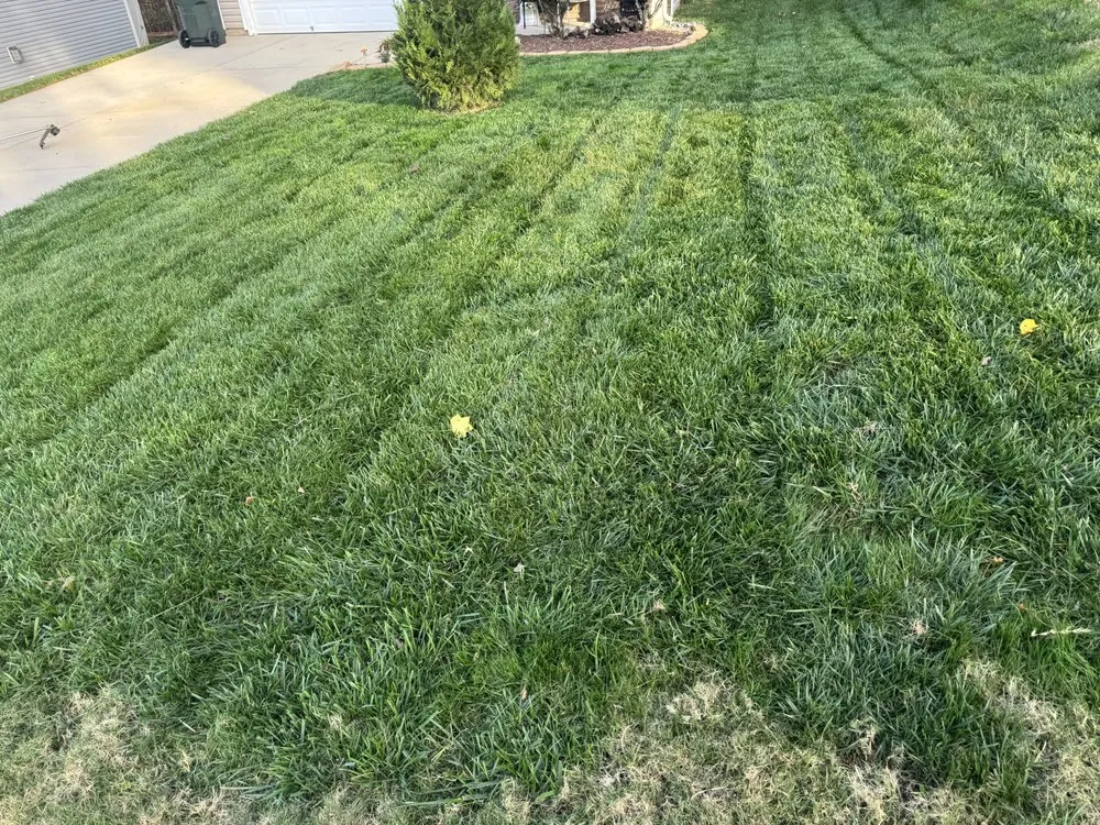 Local landscape installation experts serving Gastonia, NC - Mike P's Yard Services