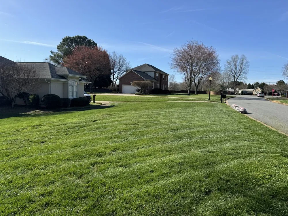 Top-rated landscaping services experts serving Gastonia, NC - Mike P's Yard Services