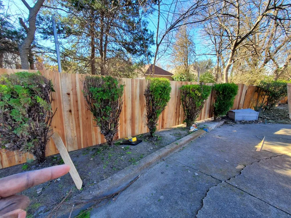 Top-rated landscaping services experts serving Dallas, TX - Mike Riley's Landscape