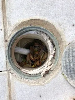 Reliable lawn care service for outdoor upgrades in Dallas, TX by Mike Riley's Landscape